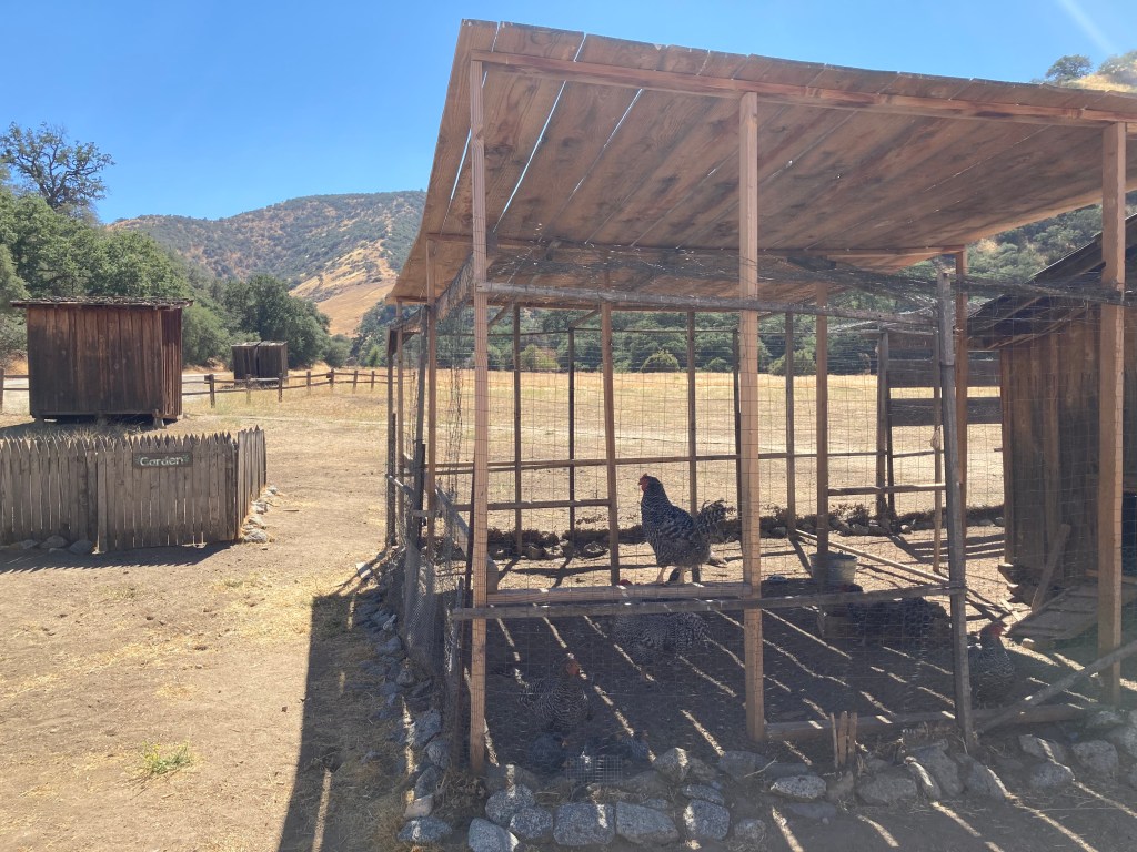 Chicken Coop at Fort Tejon